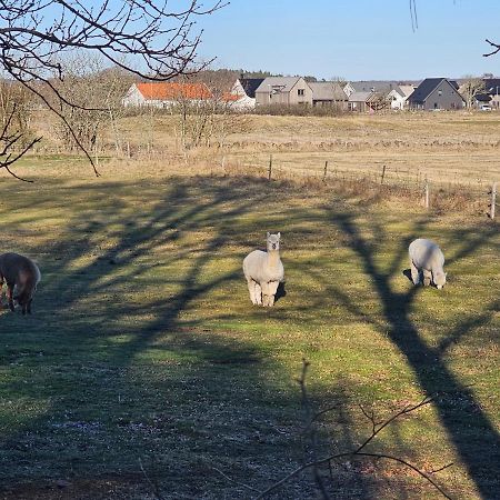 Attefallshus Naera Havet Norranaes Varberg Bagian luar foto
