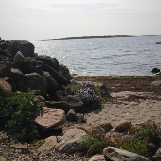 Attefallshus Naera Havet Norranaes Varberg Bagian luar foto