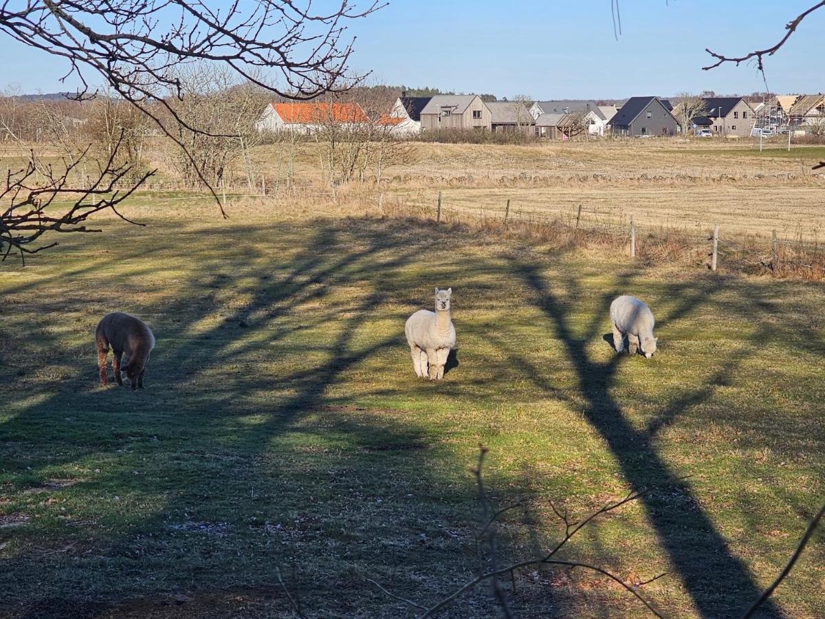 Attefallshus Naera Havet Norranaes Varberg Bagian luar foto